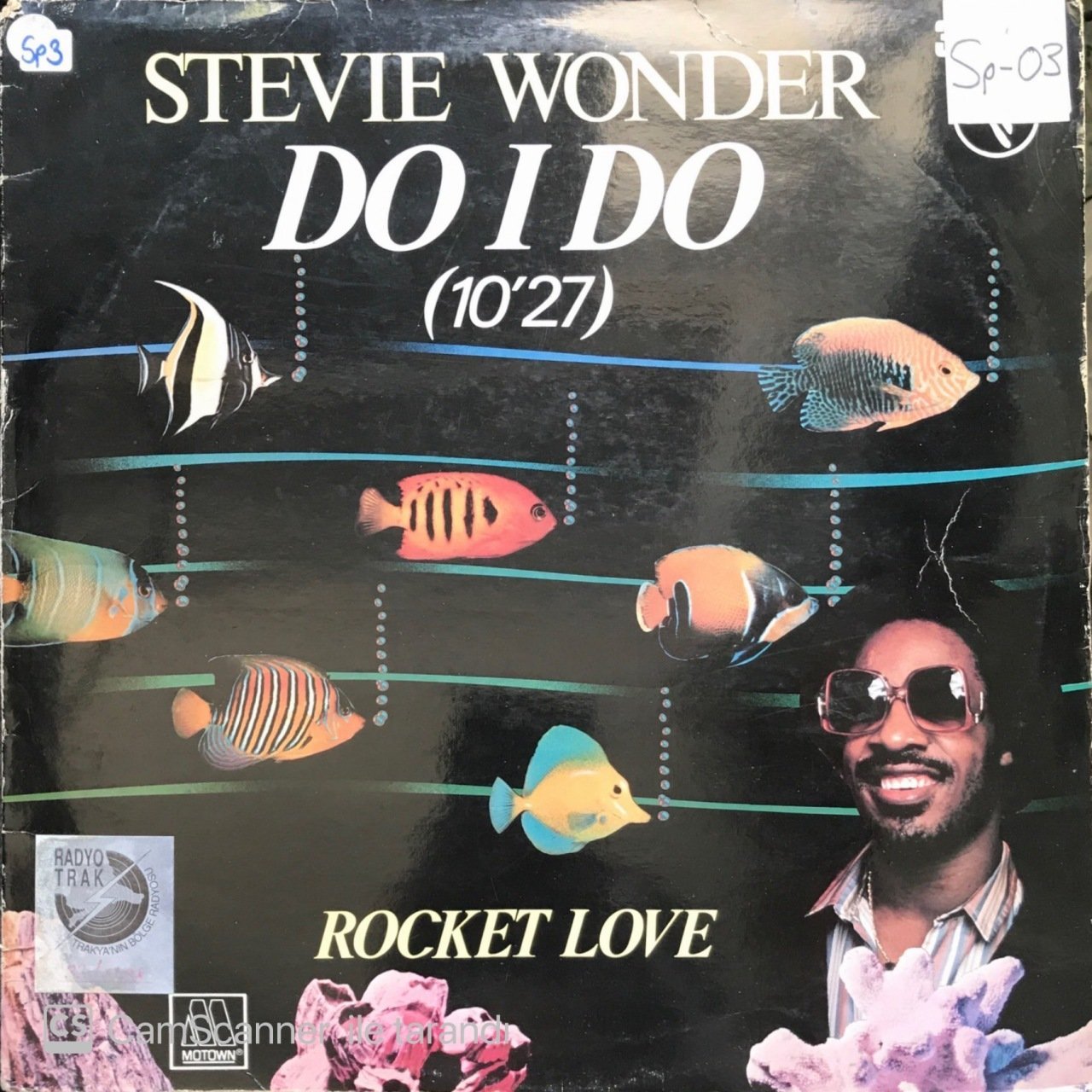 Stevie Wonder Do I Do MAXI