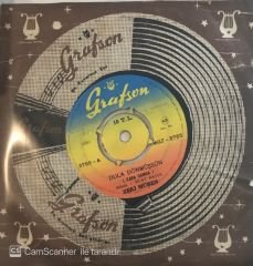 Zeki Müren Dula Dönmüşsün 45lik