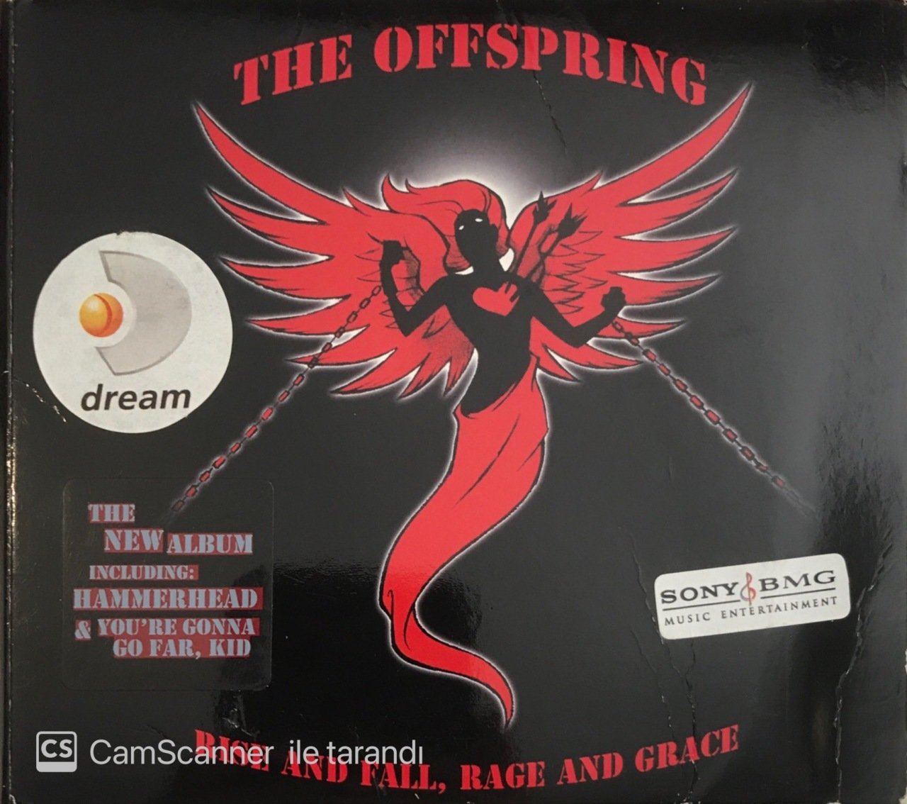 The Offspring Rise And Fall, Rage And Grace CD