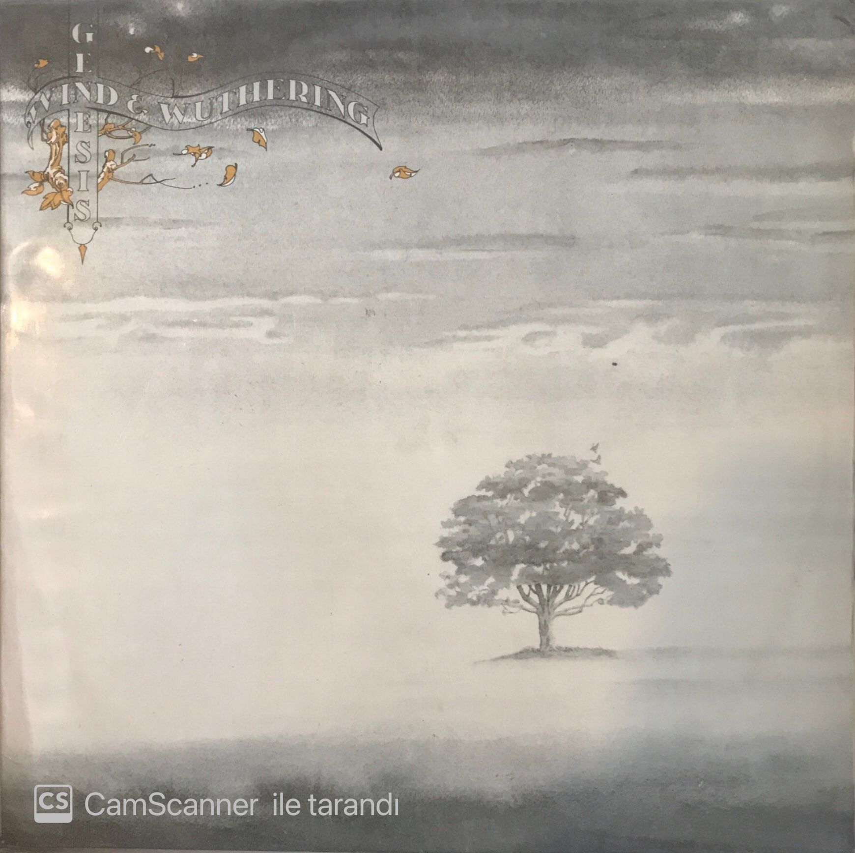 Genesis Wind & Wuthering LP