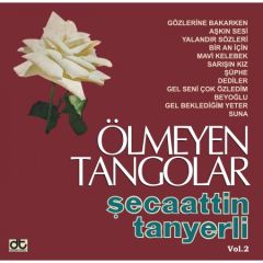 Şecaattin Tanyerli - Ölmeyen Tangolar Vol. 2 LP