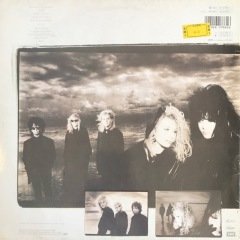 Heart Bad Animals LP