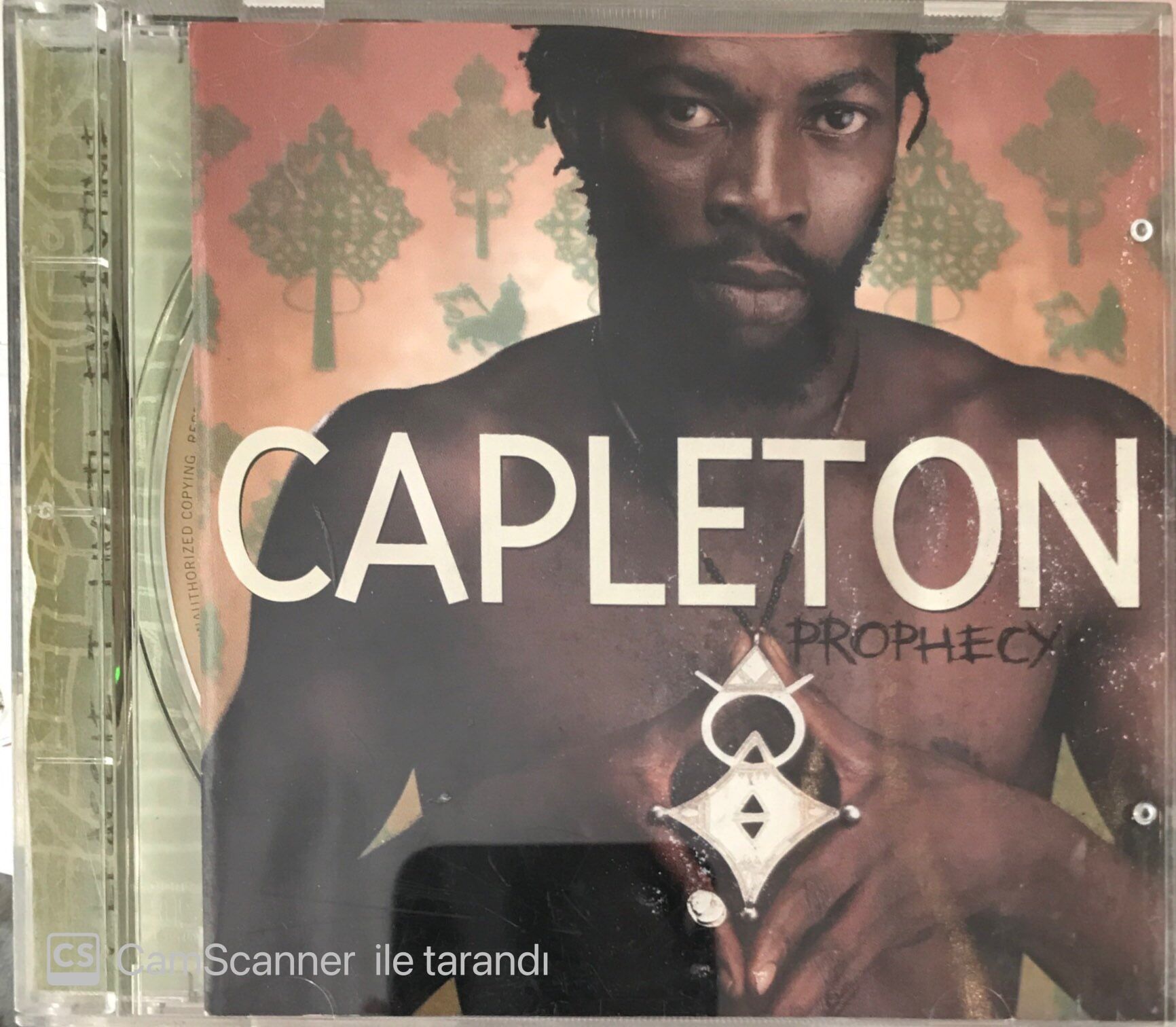 Capleton - Prophecy CD