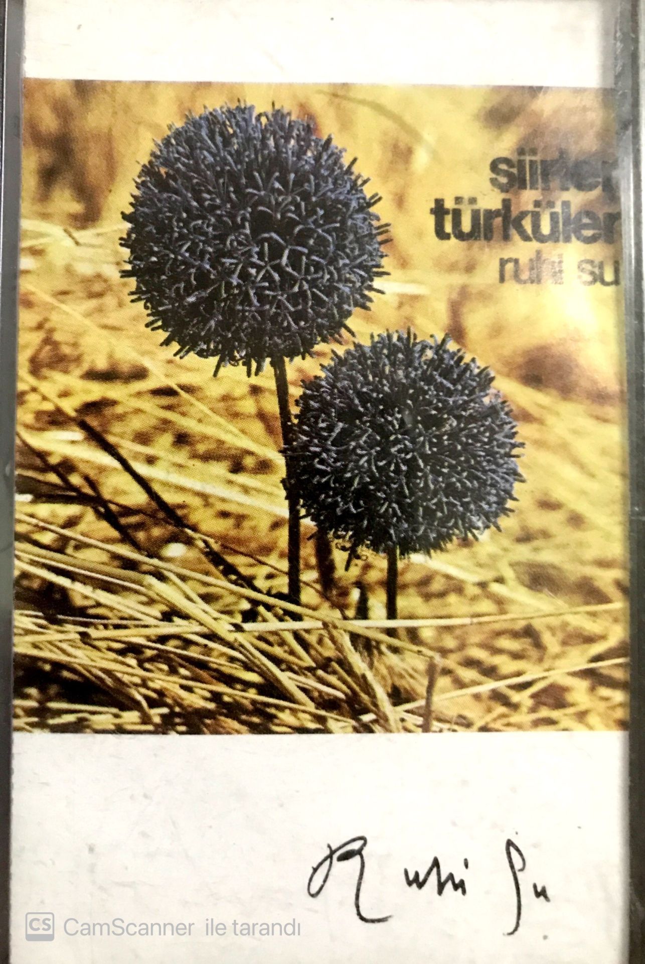 Ruhi Su - Şiirler Türküler KASET