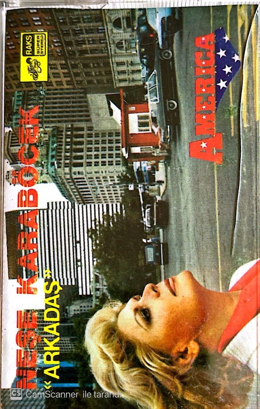 Neşe Karaböcek Arkadaş KASET