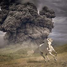 The White Buffalo – Year of the Dark Horse LP