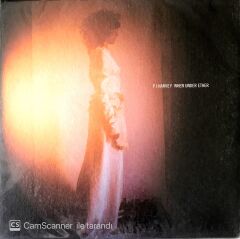 Pj Harvey / When Under Ether 45'lik