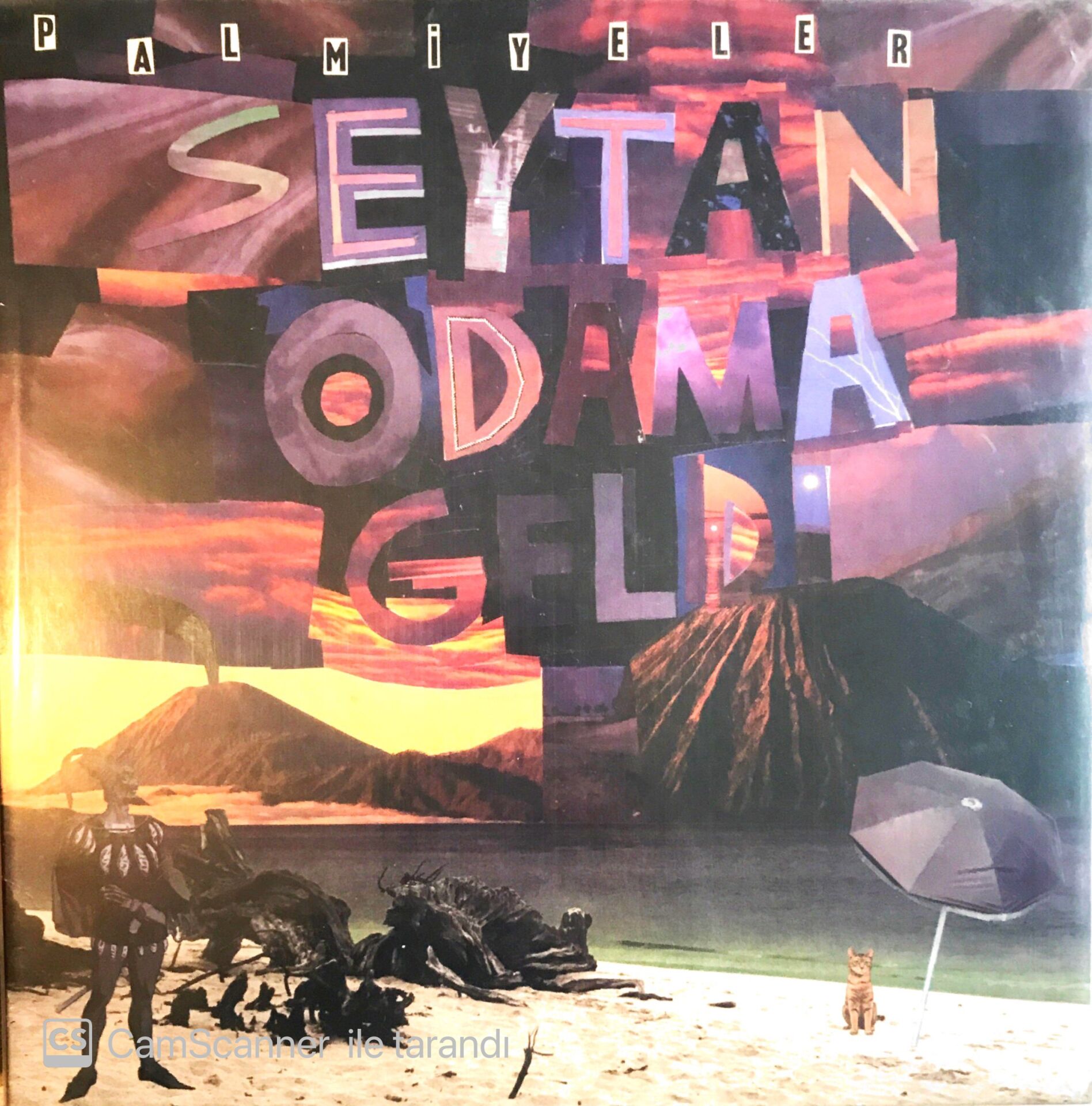 Palmiyeler - Şeytan Odama Geldi LP