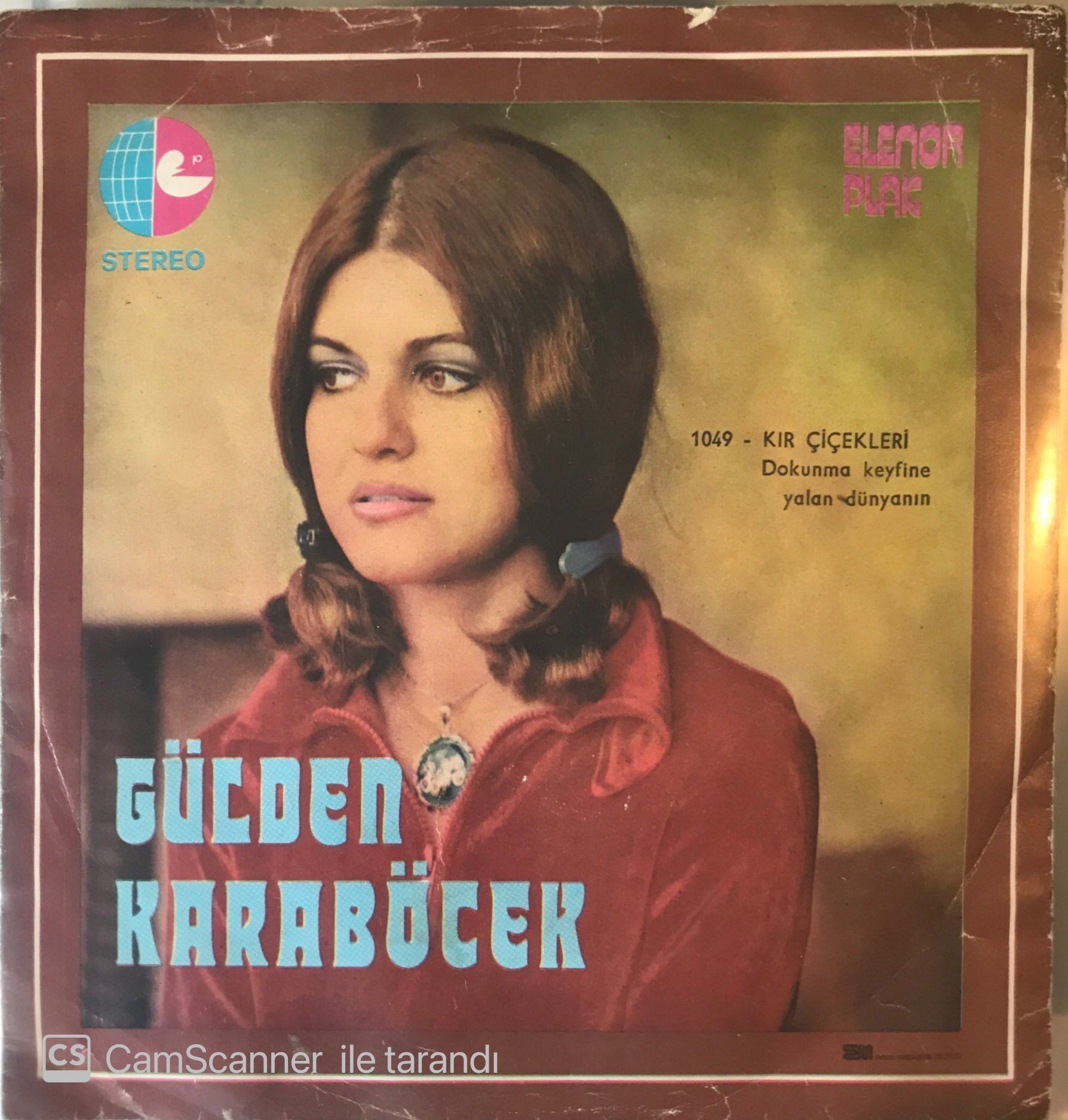 Gülden Karaböcek Kır Çiçekleri 45 lik