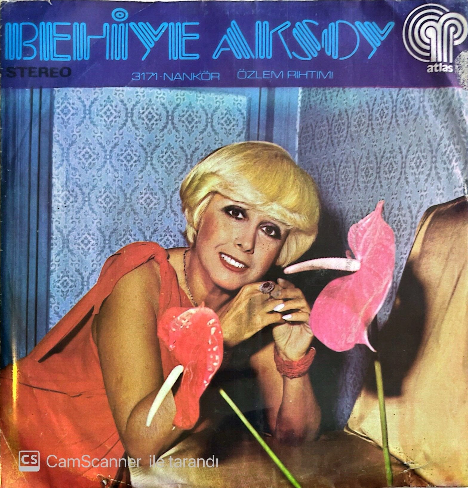 Behiye Aksoy Nankör 45lik