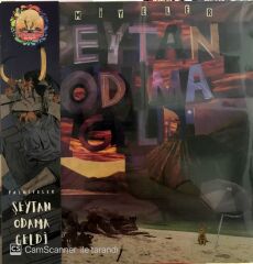 Palmiyeler - Şeytan Odama Geldi LP