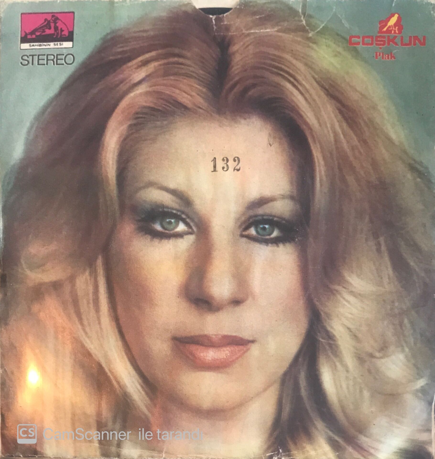 Ayla Algan Bak Şu Adama Aşık Oldu 45lik