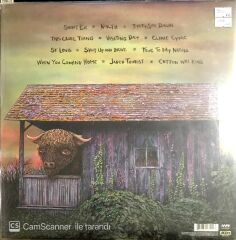 Widespread Panic - Dirty Side Down (2 LP) LP