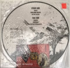Ascii Witchcraft's First  - Antischism LP (Sınırlı Sayıda Görselli Baskı)