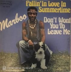 Marboo Fallin In Love In Summertime 45lik