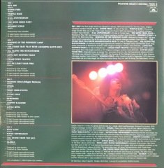 Jimi Hendrix The Singles Album Çift LP