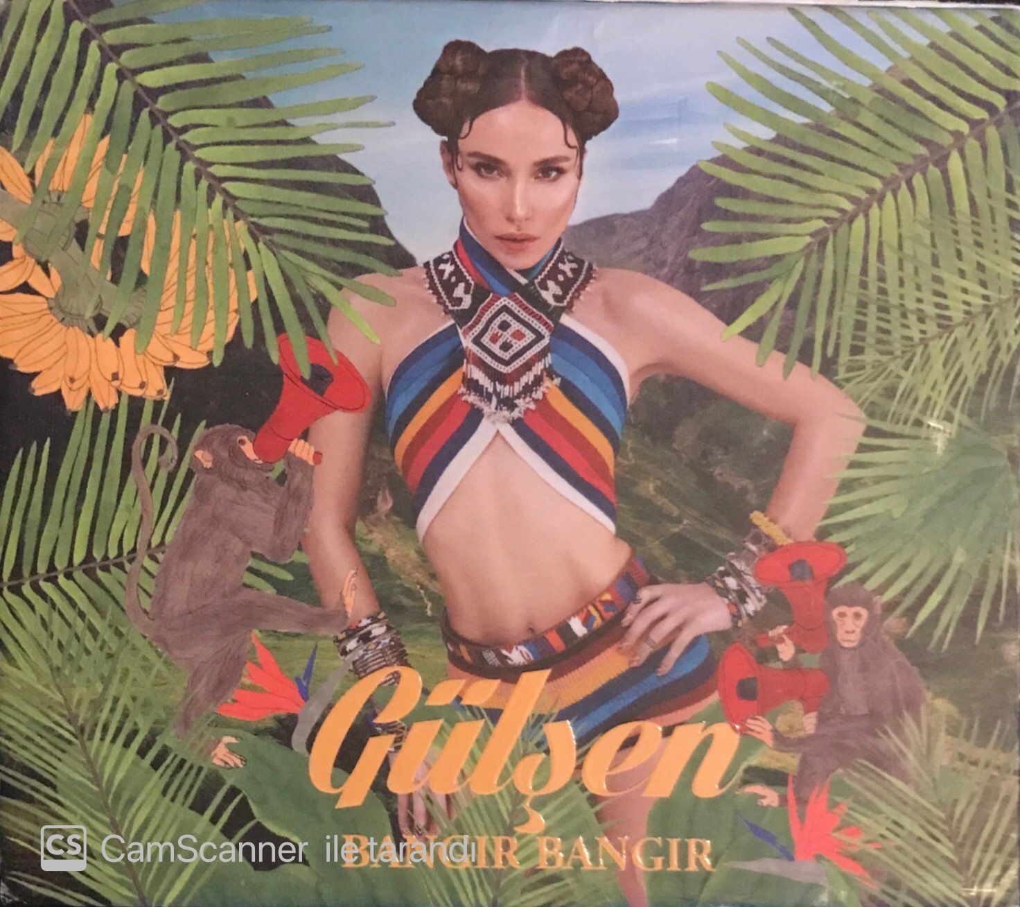 Gülşen - Bangır Bangır CD