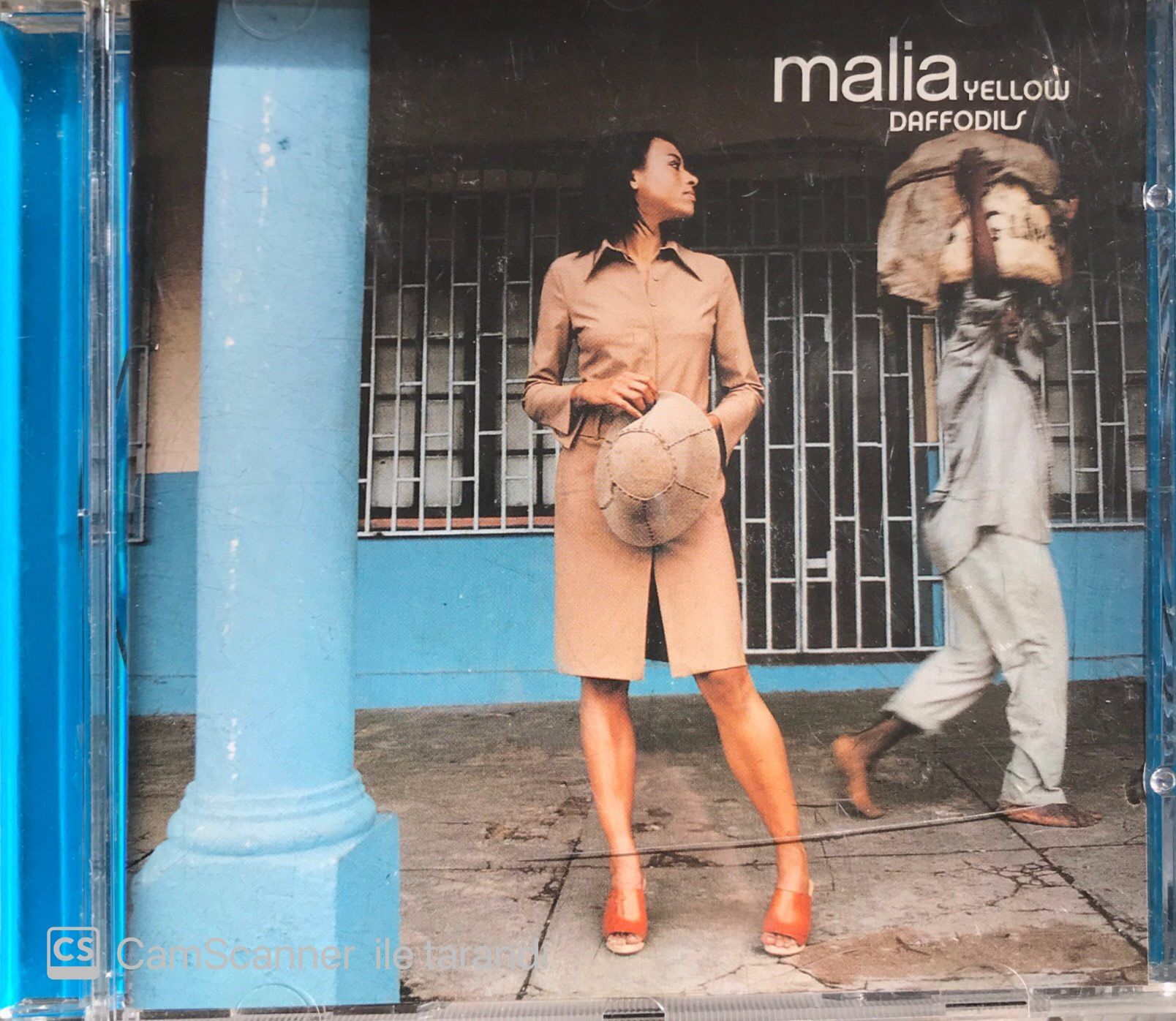 Malia Yellow Daffodils CD
