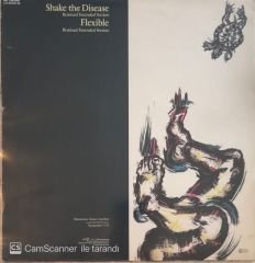 Depeche Mode - Shake The Disease Renkli MAXİ
