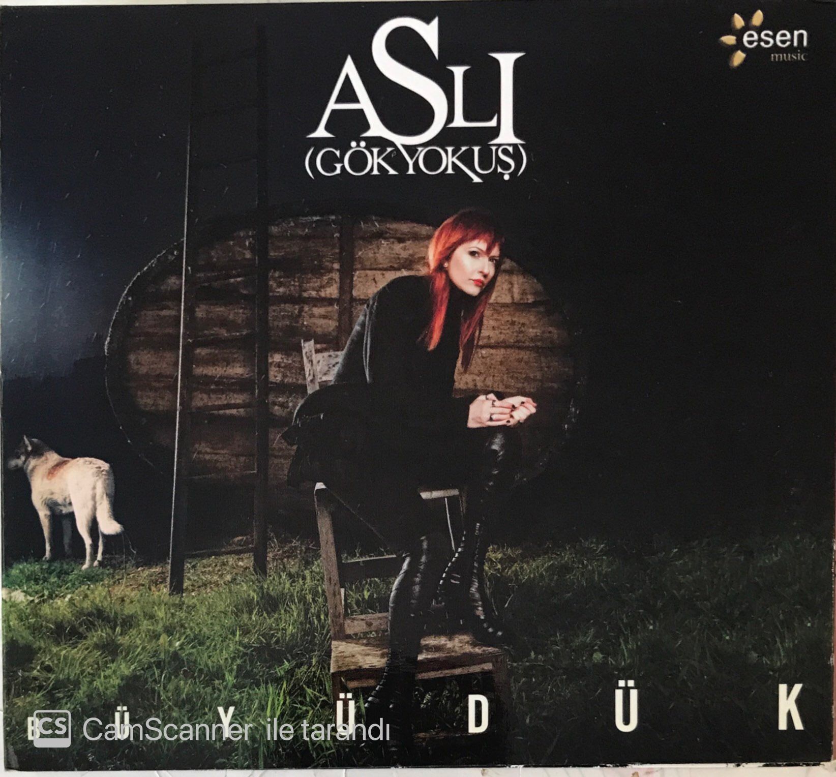 Aslı Gökyokuş - Büyüdük CD
