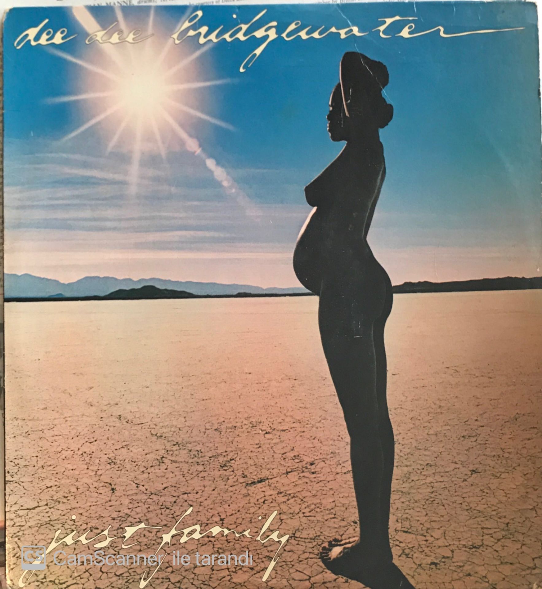 Dee Dee Bridgewater - Just Family LP