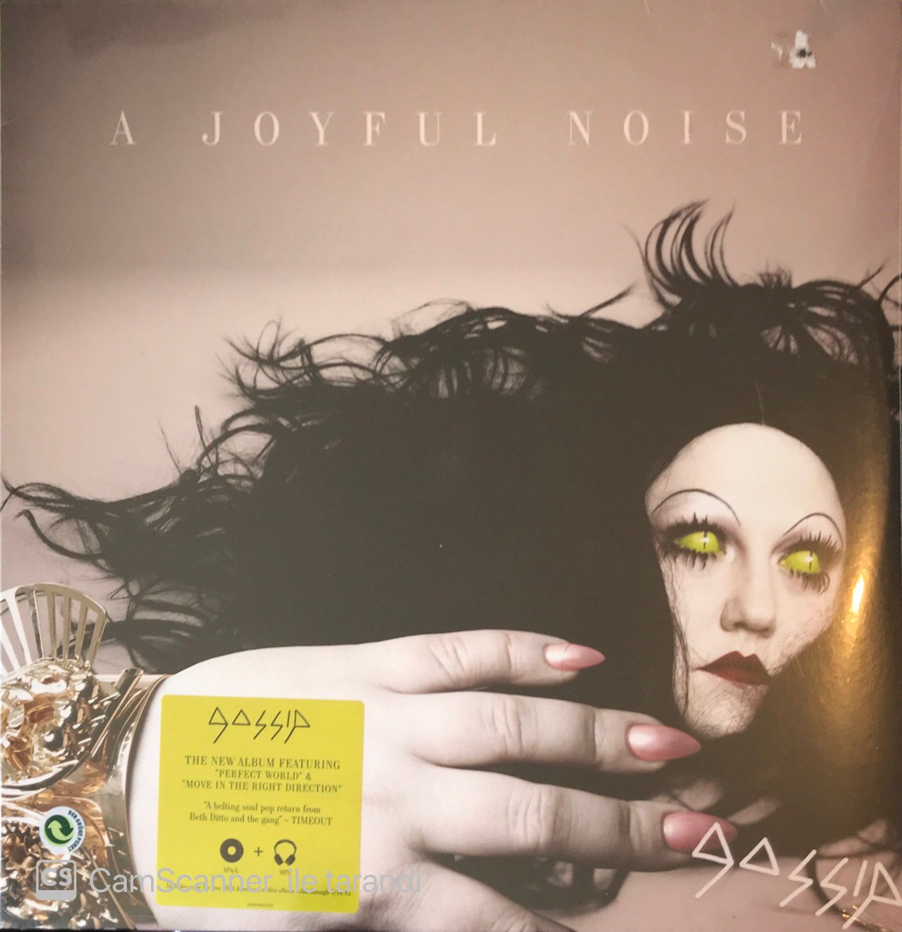 Gossip - A Joyful Noise LP