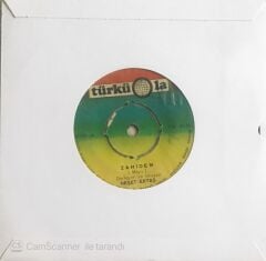 Neşet Ertaş - Zahidem/Kar Yağar Kar Üstüne - 45'lik