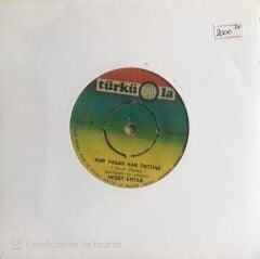 Neşet Ertaş - Zahidem/Kar Yağar Kar Üstüne - 45'lik