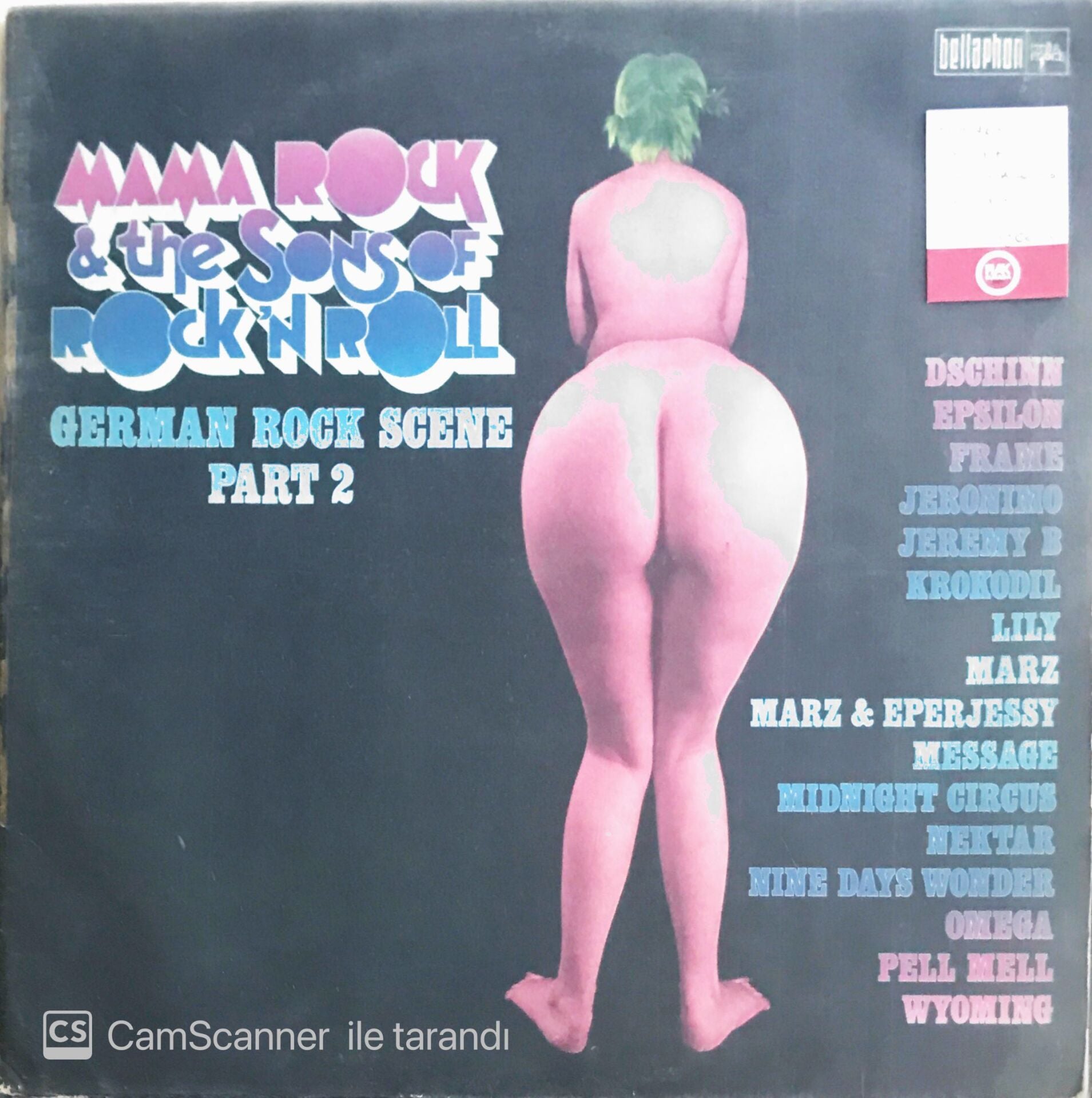 Mama Rock & The Sons Of Rock'n Roll - LP