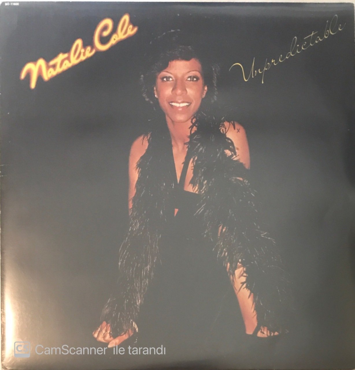 Natalie Cole Unpredictable LP