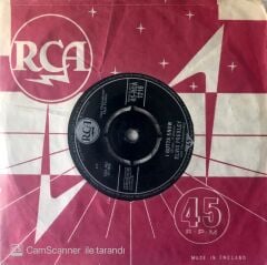 Elvis Presley / I Gotta Know 45'lik
