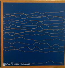 Waves - Help the Captain Threw Up LP