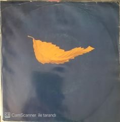 New Order - True Faith 45lik