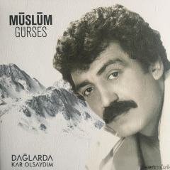Müslüm Gürses Dağlarda Kar Olsaydım LP