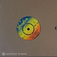 Zeki Müren Dula Dönmüşsün 45lik