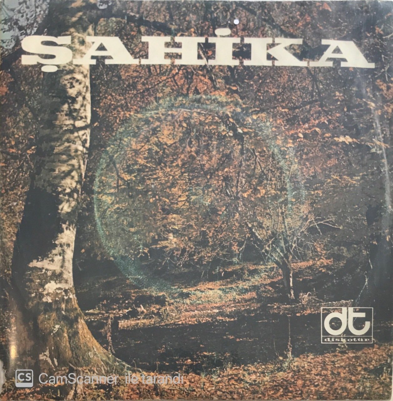 Şahika Yabancı 45lik