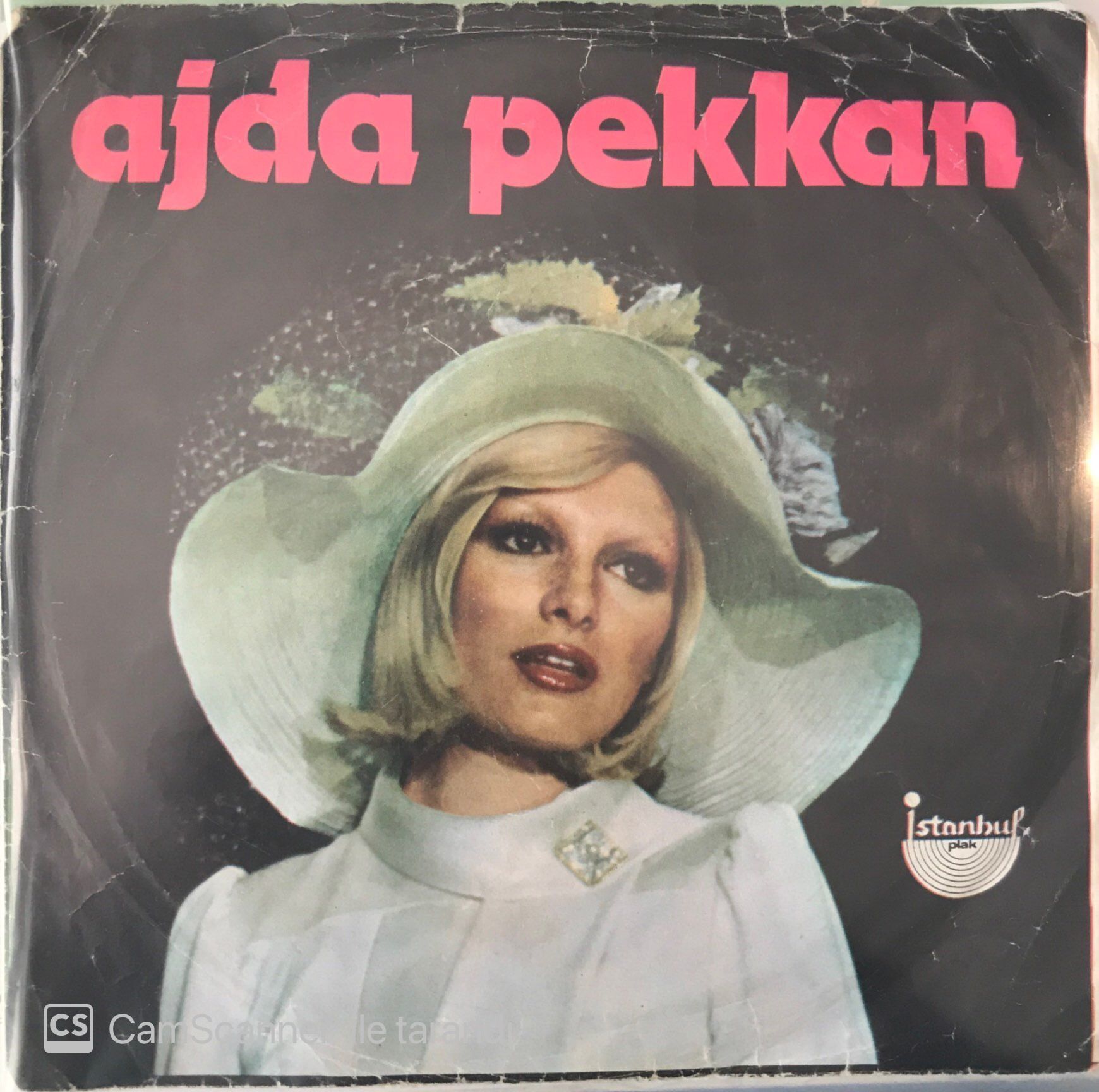 Ajda Sana Neler Edeceğim 45lik