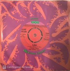 Füsun Önal Flört 45lik