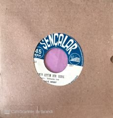 Behiye Aksoy - Hayat Budur Giden Gelmez 45lik