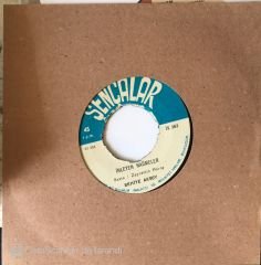 Behiye Aksoy - İnleyen Nağmeler 45lik