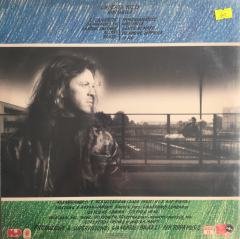 Umberto Tozzi Invisibile LP
