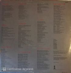 Marianne Faithfull Dangerous Acquaintances LP