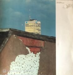 Martha & The Muffins - This Is The Ice Age LP