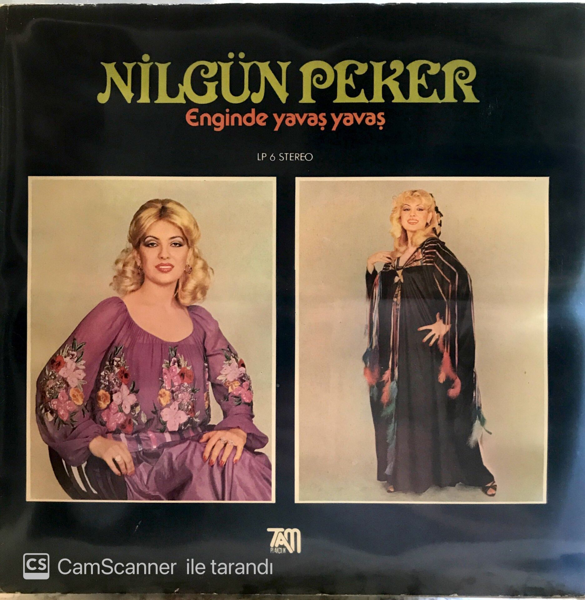 Nilgün Peker Enginde Yavaş Yavaş LP