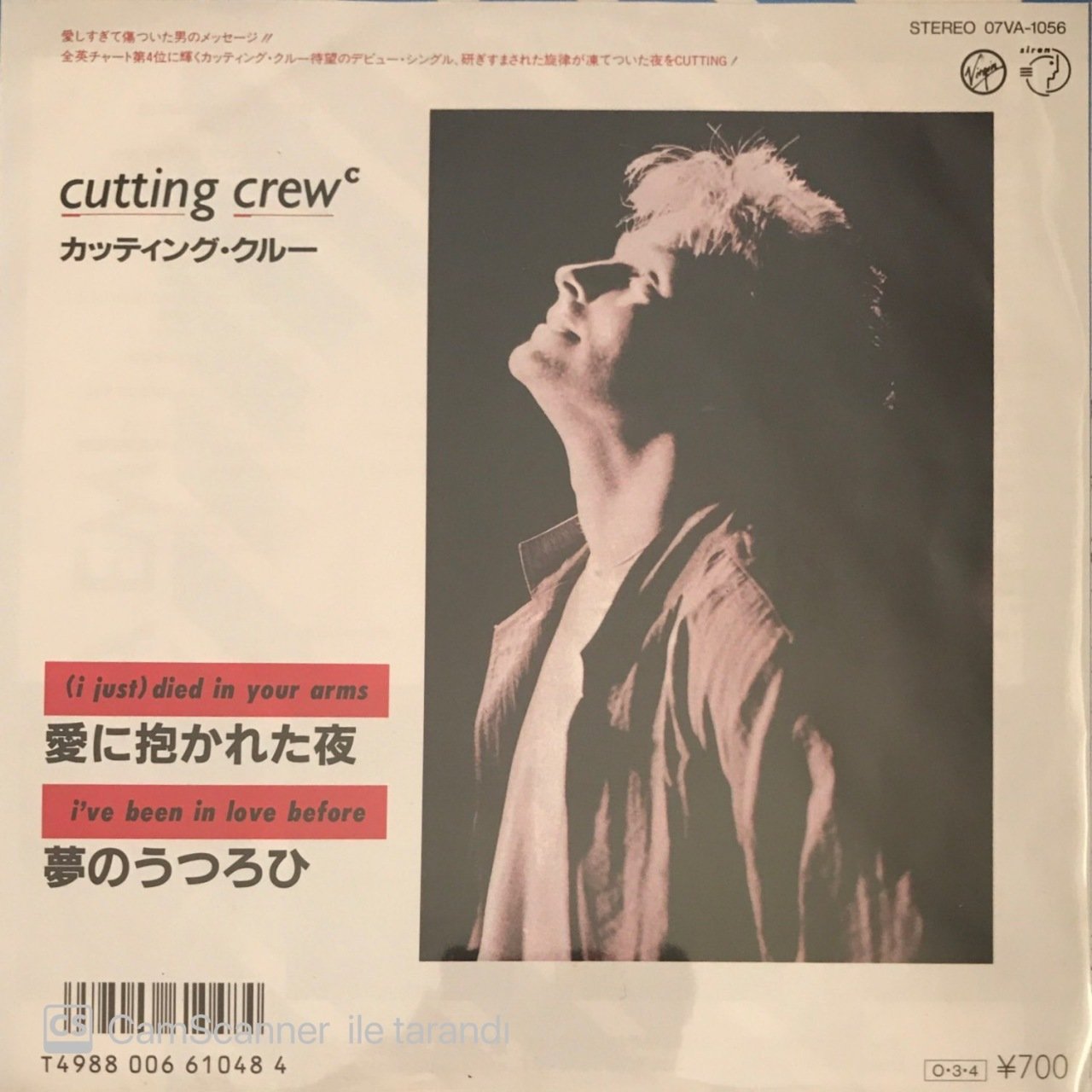 Cutting Crew Died In Your Arms Japon Baskı 45lik