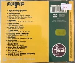Incognito - Positivity CD