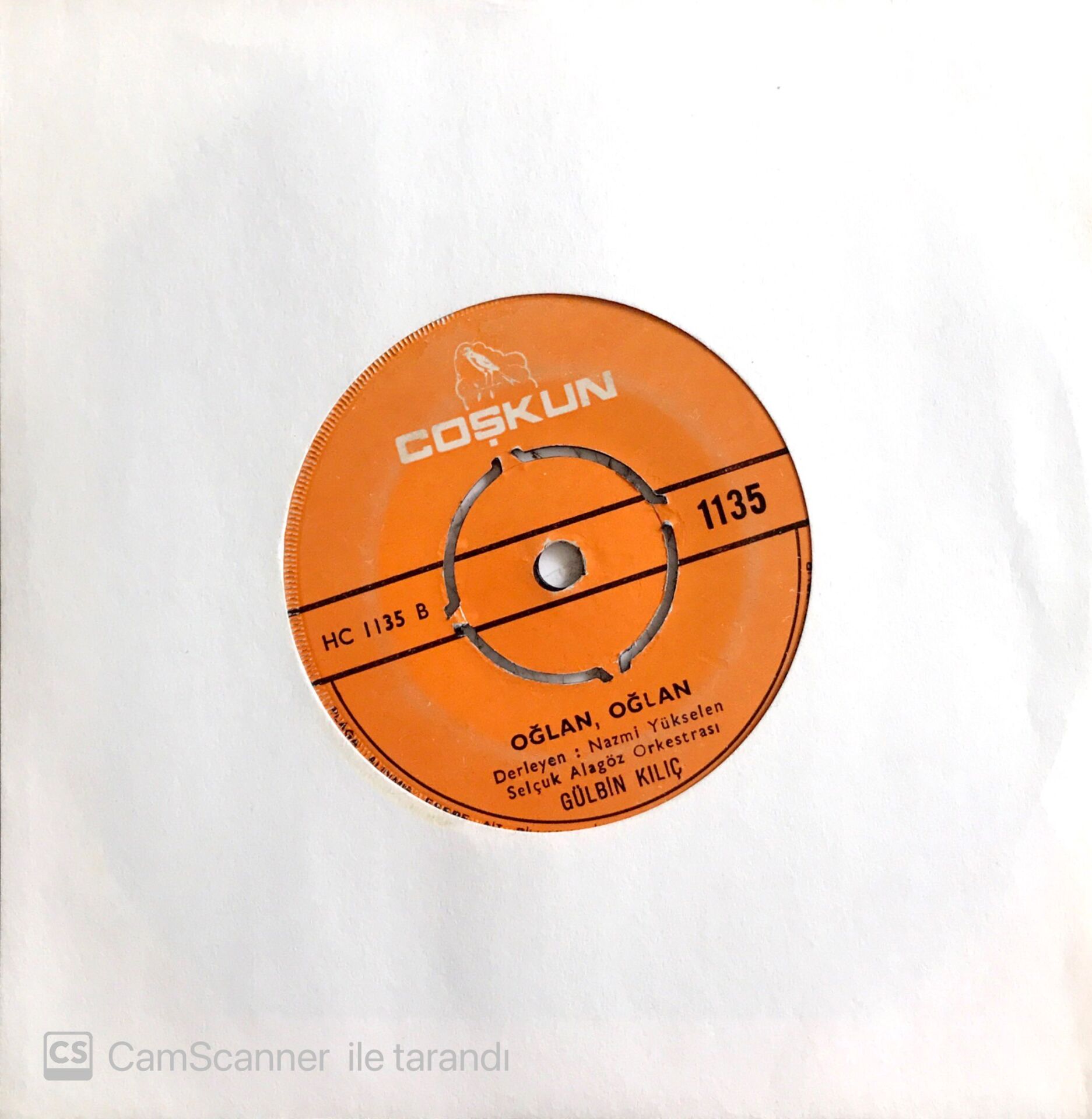 Gülbin Kılıç / Oğlan Oğlan 45'lik