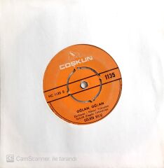 Gülbin Kılıç / Oğlan Oğlan 45'lik