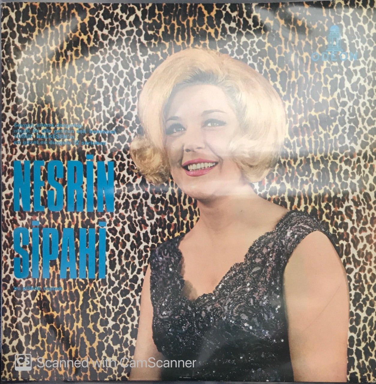 Nesrin Sipahi Maksadım Birazcık LP