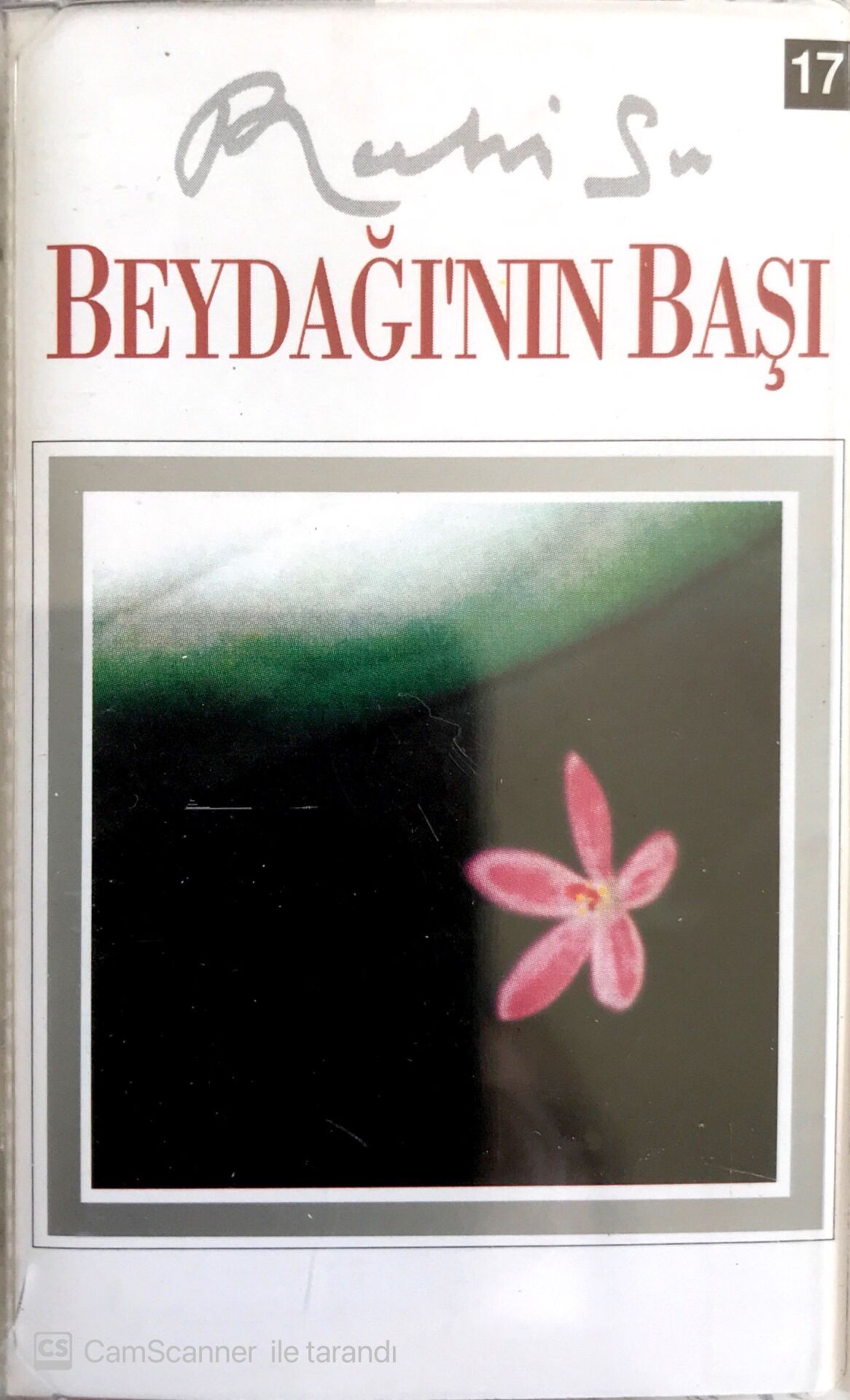 Ruhi Su Beydağının Başı KASET